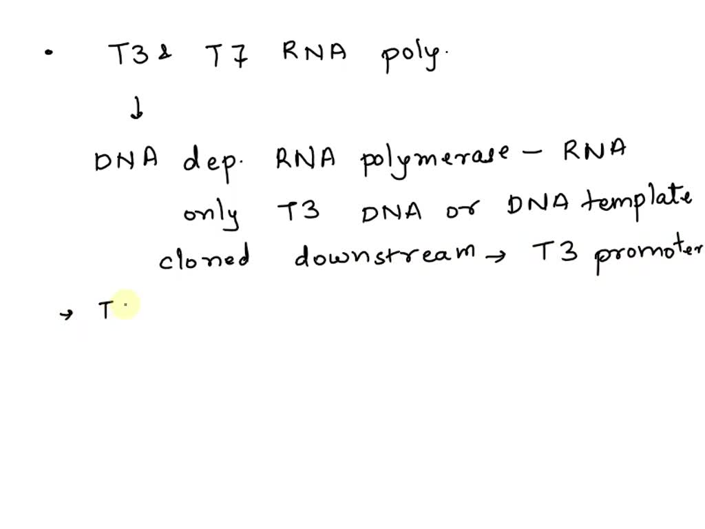 SOLVED "In a pBluescript plasmid, the T3 and T7 promoters span the