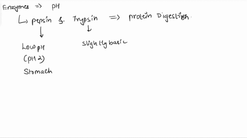 to-pull-on-both-ends-of-an-keratin-polypeptide-is-to-pull-against-the-_______-bonds-that-account-for-its-_____-structure-these-give-readily-allowing-the-polypeptide-to-be-stretched-to-its-fu-44423