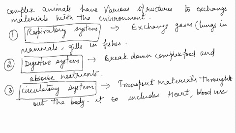 describe-ways-in-which-the-bodies-of-complex-animals-are-structured-for-exchanging-materials-with-3-75252