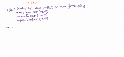 all-of-the-following-statements-about-rna-are-correct-except-a-there-are-three-kinds-of-rna-mrna-rrn-83954