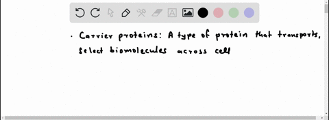 carriers-name-the-three-types-of-carrier-proteins-which-of-these-can-mediate-secondary-active-transp-00358