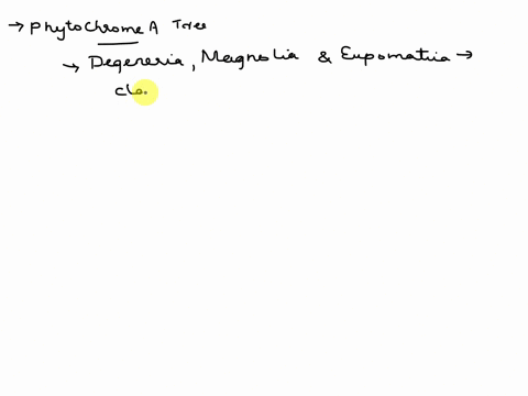 the-figure-below-shows-the-phylogeny-estimated-for-a-sample-of-flowering-plants-angiosperms-from-phytochrome-a-and-phytochrome-ca-pair-of-genes-that-duplicated-prior-to-the-origin-of-the-ang-45952