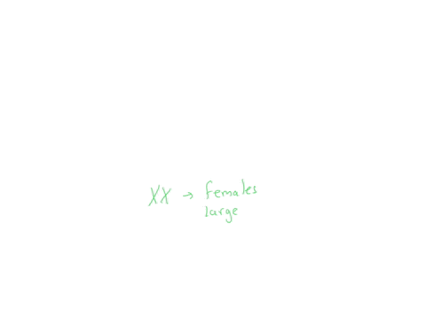 which-pair-of-sex-chromosomes-makes-a-person-male-xx-or-xy-68267