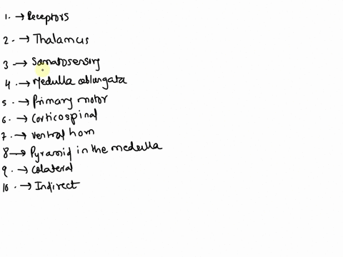 cns-spinal-cord-lab-activity-neuronal-pathwaye-eaconblaink-pword-bank-contralateray-provide-the-word-that-best-fits-elongata-primary-motor-pyramidera-corticospinal-indirect-medulla-ventrall-58797