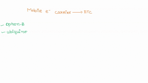 which-of-the-following-is-a-mobile-electron-carrier-in-the-electron-transport-chain-choose-one-a-cytochrome-coxidase-complex-b-ubiquinone-c-cytochrome-creductase-complex-d-nadh-dehydrogenase-92527