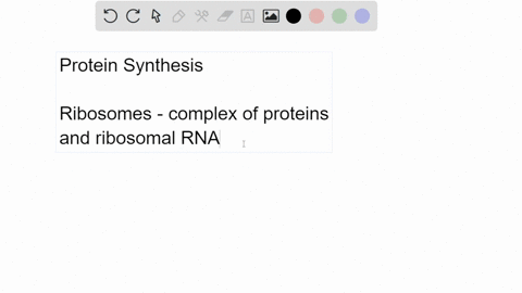 which-if-the-following-organelles-is-responsible-for-protein-synthesis-nucleus-ribosome-golgi-61974