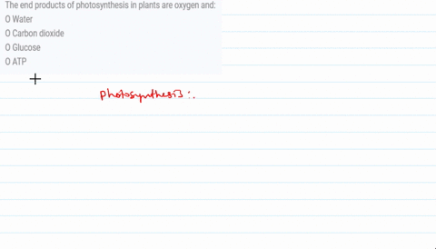 the-end-products-of-photosynthesis-in-plants-are-oxygen-and-o-water-o-carbon-dioxide-o-glucose-o-atp-81375