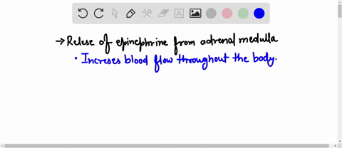 question-68-mandatory-2-points-which-of-the-following-would-not-result-from-release-of-epinephrine-a-increased-blood-flow-to-the-intestines-b-increased-blood-pressure-c-decreased-blood-flow-48884