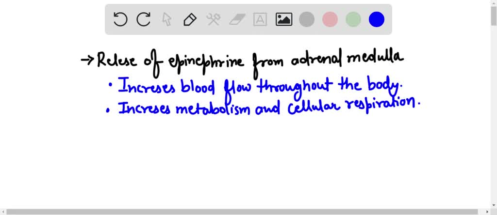 SOLVED: Question 10 A) (2 Points) Explain How Patient B's Disorder ...