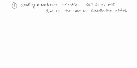explain-in-detail-how-a-cell-maintains-the-resting-membrane-potential-in-your-answer-include-the-definition-of-resting-membrane-potential-identify-what-proteins-and-ions-play-a-major-role-in-69381