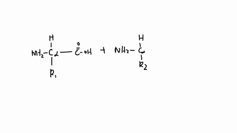 the-type-of-chemical-bond-linking-amino-acids-together-is-an-_____________-bond