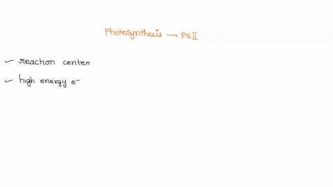 during-photosynthesis-water-molecules-are-oxidized-by-photosystem-ii-what-products-of-this-oxidation-0z-gas-ht-ions-and-electrons-happens-to-the-40148