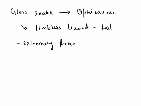 glass-snake-is-a-venomous-snake-b-non-venomous-snake-c-limbless-snake-d-limbless-lizard-52493