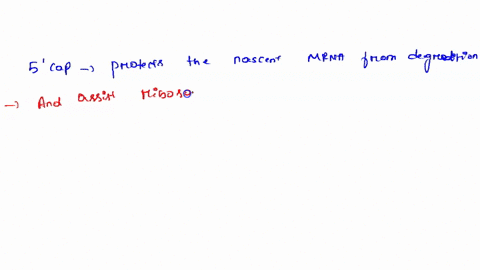question-13-pts-what-type-of-rna-processing-occurs-at-the-5-end-of-mrna-molecules-in-eukaryotic-cells-addition-of-a-guanine-nucleotide-addition-of-up-t0-250-adenine-nucleotides-removal-of-in-00519