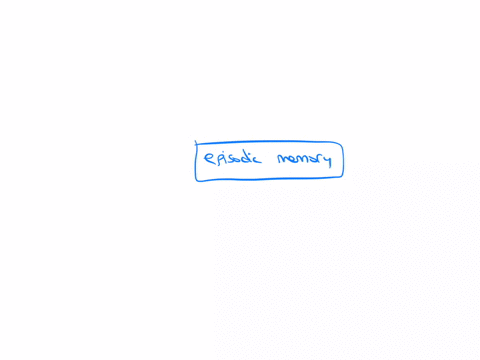memories-of-family-vacations-holiday-gatherings-and-other-personal-life-experiences-would-most-likely-be-stored-in-episodic-memory-implicit-memory-procedural-memory-semantic-memory-sensory-m-10128