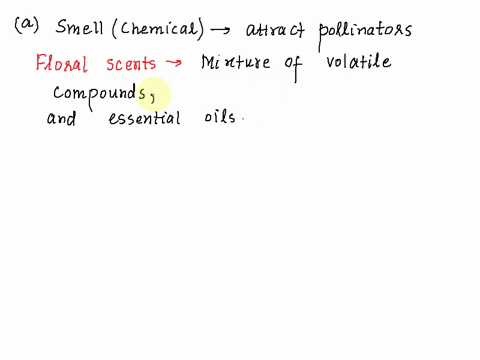 imagine-you-are-a-plant-trying-to-attract-insects-by-smell-below-are-three-possible-scenarios-read-them-and-then-fill-the-table-at-the-end-that-would-best-describe-the-chemicals-produced-and-75938