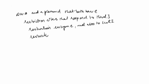 human-dna-and-a-particular-plasmid-both-have-sites-that-are-cut-by-the-restriction-enzymes-hindiii-and-ecori-to-make-recombinant-dna-the-scientist-should-a-cut-the-plasmid-with-ecori-and-the-55548