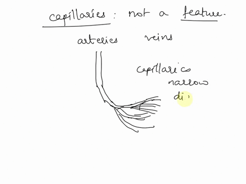 which-of-the-following-is-not-a-feature-of-capillaries-capillaries-have-thin-walls-capillary-epithelium-is-leaky-blood-pressure-in-the-capillaries-is-the-lowest-in-the-circulatory-system-cap-13181