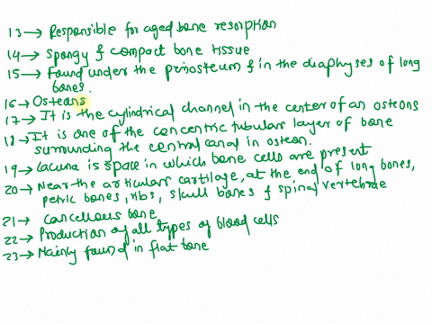 13list-the-functions-osteoclasts-14what-are-the-2-types-of-bone-tissue-15where-is-dense-bone-found-16what-are-theunitsthat-compose-dense-bone-17what-is-a-central-canal-18what-are-concentric-90066
