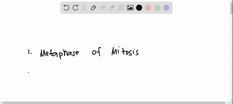 sister-chromatids-are-lined-up-in-the-center-of-the-cell-during-_________-and-during-______-is-when-the-homologous-chromosomes-are-held-together-by-synaptonemal-complex-a-metaphase-of-mitosi-55455