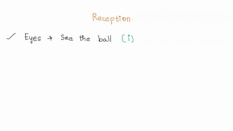 maria-is-playing-basketball-she-sees-the-ball-being-thrown-at-her-she-lunges-forward-to-grab-it-arrange-the-events-as-they-happen-from-the-moment-maria-sees-the-ball-09174