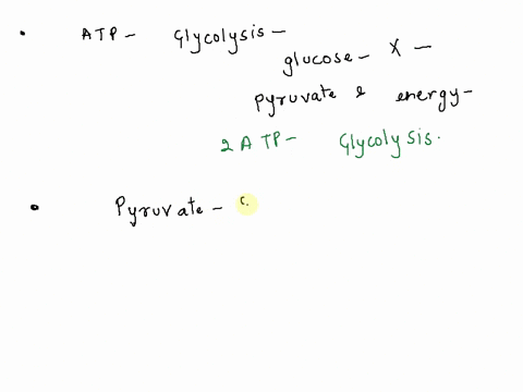 SOLVED: In glycolysis, the first stage of cellular respiration, ATP
