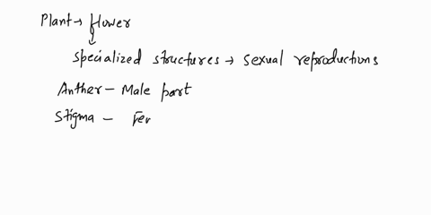 name-the-reproductive-part-of-a-plant-what-are-the-specialised-reproductive-parts-in-it-02398