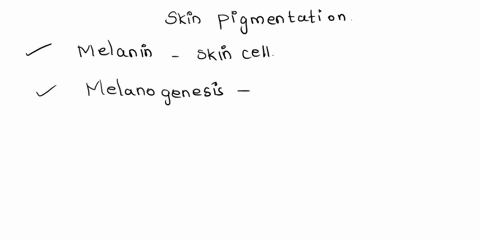 what-factors-contribute-to-skin-pigmentation-what-colors-result-from-those-processes-and-how-might-they-differ-over-time-or-in-different-people-53712