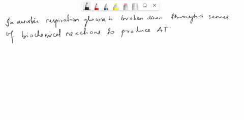 what-makes-aerobic-organisms-aerobic-they-need-to-breathe_-they-use-oxidative-phosphorylation-reduction-of-oxygen-to-useful-water-molecules-takes-place-the-final-acceptor-in-the-electron-tra-20998