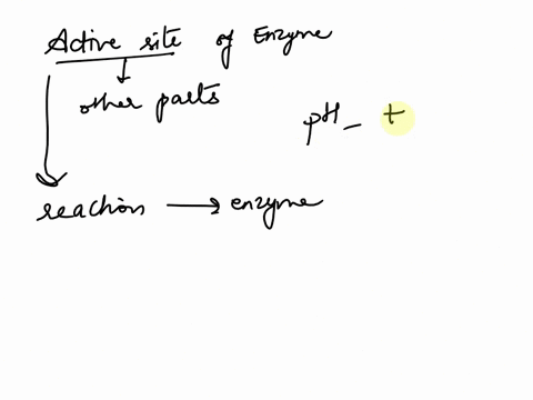 in-the-context-of-enzymes-what-is-an-active-site-and-how-is-the-active-site-different-from-other-parts-of-the-enzyme-10-pts-93875