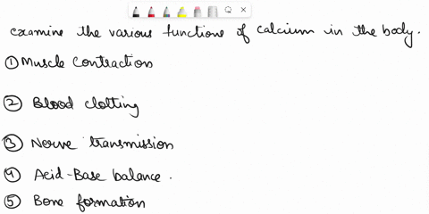 question-26-which-of-these-is-not-a-function-of-calcium-in-the-body-muscle-contraction-blood-clotting-nerve-transmission-acid-base-balance-bone-formation-07285