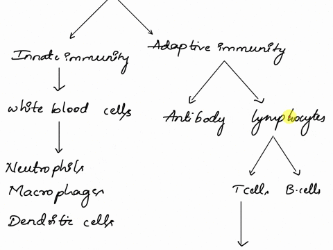directions use the terms below to create concept map a concept map is a ...