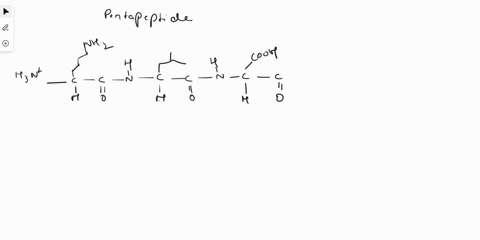 draw-the-following-pentapeptide-lysine-leucine-aspartate-threonine-phenylalanine-b-label-the-amino-and-carboxyl-terminus-of-your-peptide-c-label-each-amino-acid-residue-with-one-and-three-le-06926