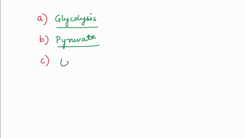 prior-to-fermentation-glucose-is-broken-down-in-metabolic-pathway-called-is-the-final-carbon-product-of-glycolysis-when-pyruvate-is-reduced-in-animal-fermentation-it-produces-carbon-product-78694