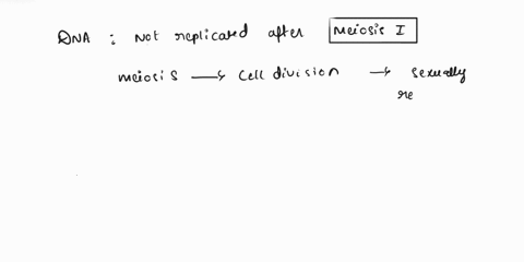 is-the-dna-replicated-after-meiosis-i-why-or-why-not-brainly-57265