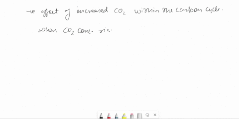 what-is-a-negative-effect-of-increased-carbon-dioxide-within-the-carbon-cycle-25455