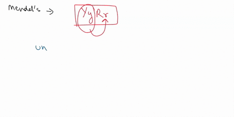 question-2-pts-1-point-mendels-principle-of-independent-zssortment-holds-true-only-for-traits-with-genes-that-gene-icc-pominam-alkla-recessive-allele-genotypo-homorygoue-jorthe-jolrant-allel-22188