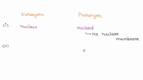 compare-and-contrast-between-eukaryotic-cells-vs-prokaryotic-cells-location-of-dna-cell-size-intracellular-compartments-ribosomes-types-of-microbes-in-each-group-59538