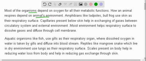 explain-how-an-animals-environment-influences-the-structure-and-function-of-its-respiratory-surface-88395