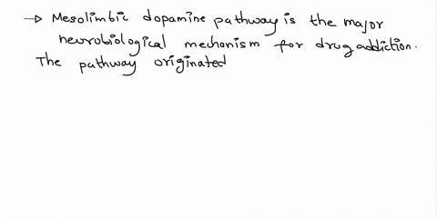 the-neurobiological-mechanisms-for-drug-addiction-involve-the-mesocortical-dopamine-pathway-tuberoinfundibular-pathway-incertohypothalamic-pathway-parahippocampal-subicular-pathway-mesolimbi-29191