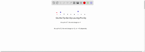 see-the-amino-acid-sequence-below-glu-his-trp-ser-gly-leu-arg-pro-gly-what-is-the-net-charge-of-this-peptide-at-ph-2-and-ph-7-please-state-your-reasoning-and-show-the-steps-you-took-to-get-t-86882