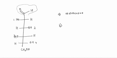 the-fischer-projection-of-a-sugar-is-shown-at-left-answer-the-questions-at-right-about-the-structure-h-a-characterize-the-sugar-aldopentose-ketotetrose-etc-b-is-the-sugar-a-d-or-l-sugar-ho-h-27265