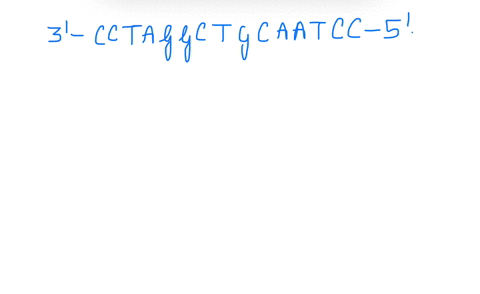 question-25-cs-the-electrons-transferred-down-the-electron-transport-chain-of-photosystem-il-willbe-transferred-ard-ecduc-water-atp-oxygen-photosystem-b-nadph-previous-abs-31051
