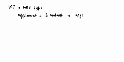 ncdding-2-beadle-and-title-latum-beadle-and-oposed-one-tatum-bene-oul-stulet-worked-with-enzyue-biotin-bread-hypothe-they-isolated-mold-neurosporu-one-had-several-mutants-who-mutant-that-onl-34548