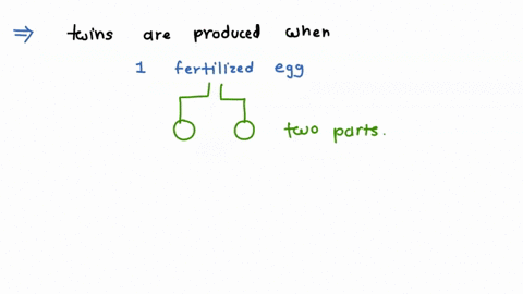 a-female-ovary-produces-one-ovum-at-a-time-every-monththis-implies-that-not-more-than-one-zygote-can-be-formed-at-a-time-how-are-twins-produced-then-35426