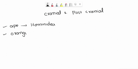 1-how-does-cranial-and-post-cranial-anatomy-of-hominids-differ-from-that-of-other-apes-2-describe-all-of-the-morphological-features-that-distinguish-the-crania-and-postcrania-of-bipedal-homi-88875