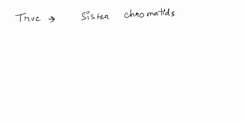 true-or-false-each-cell-that-enters-the-cell-cycle-contains-sister-chromatids-57463