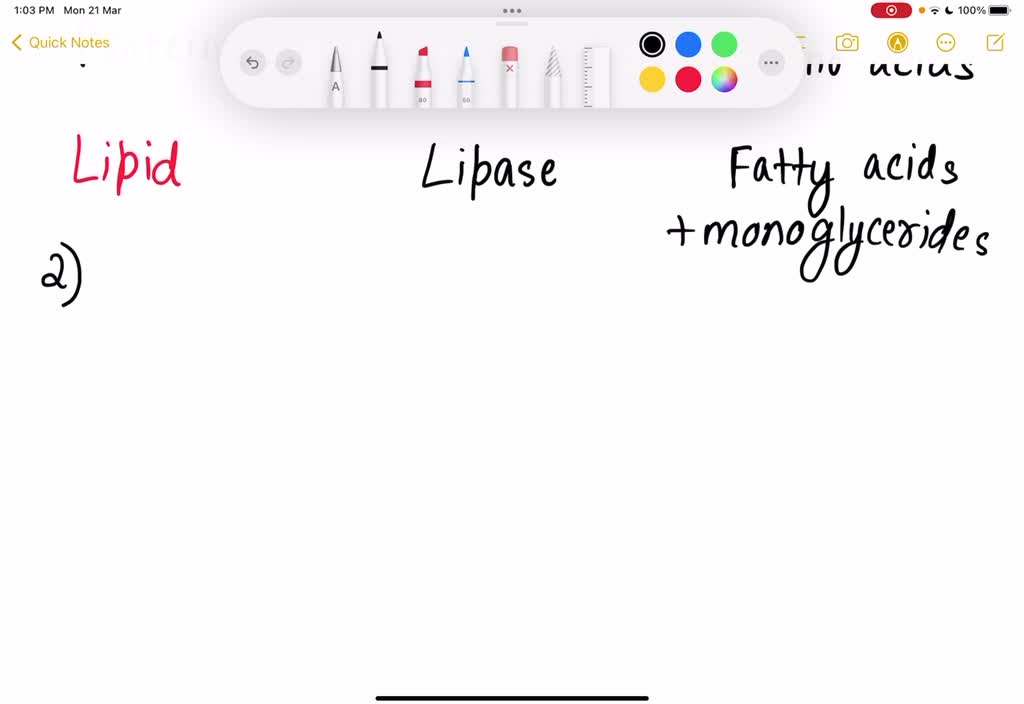 SOLVED In digestion large food molecules are broken down into small food molecules by enzymes