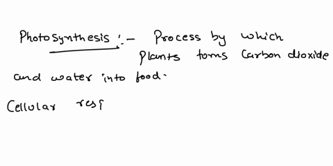 what-best-explains-the-relationship-between-photosynthesis-and-cellular-respiration-the-higher-the-rate-of-formation-of-products-in-respiration-the-lower-the-rate-of-photosynthesis-photosynt-36241