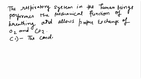 which-of-the-following-structures-is-not-part-of-the-conductive-zone-of-the-respiratory-system-terminai-bronchioles-primany-bronchi-carina-tertiany-bronchi-nespiratory-bronchioles-45502